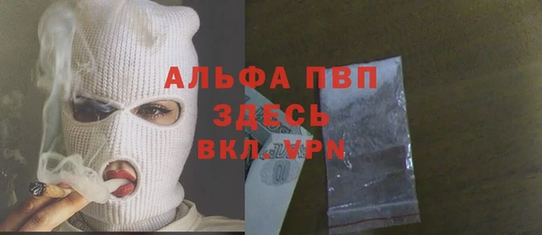 молекула духа Санкт-Петербург