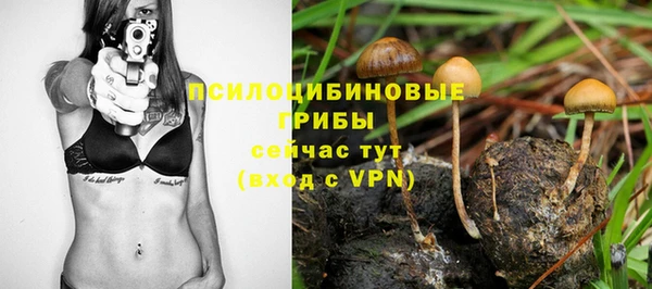 хмурый Новосибирск
